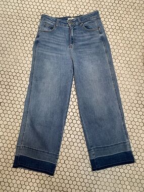 Oat New York Two-Tone Wide-Leg Crop Jeans in Light and Dark Blue